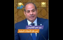 فيديو: دور مصر الإقليمي في ظل التحولات الدولية