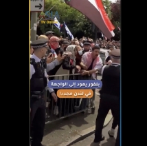 فيديو: بلفور يعود إلى الواجهة في لندن مجددا