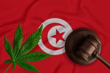 تحذيرات أممية: تحولات خطيرة تضرب سوق المخدرات في تونس