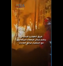 فيديو: فريق الطوارئ الإسباني ينضم لرجال الإطفاء البرتغاليين مع استمرار حرائق الغابات