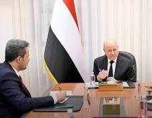العليمي يراهن على الحسم لاستعادة مؤسسات اليمن