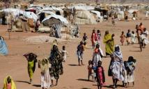 الهجرة الدولية: نحو 6 آلاف نازح من غرب دارفور خلال يوم