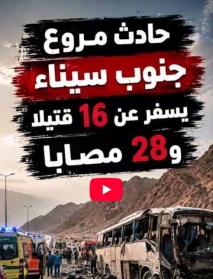 فيديو: حادث مروع في جنوب سيناء يسفر عن 16 قتيلا و28 مصابا