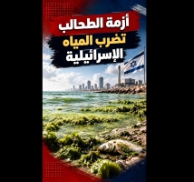 فيديو: أزمة الطحالب تضرب المياه الإسرائيلية