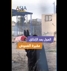 فيديو: الهول بعد الإغلاق.. مقبرة الغموض