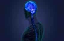 براءة أمريكية تكشف إمكانية التأثير على الدماغ عبر التلفاز