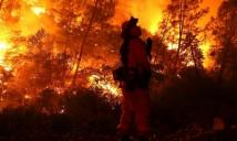 الأكثر تدميرا".. حرائق الغابات في كندا أتت هذا العام على مساحة بحجم كرواتيا